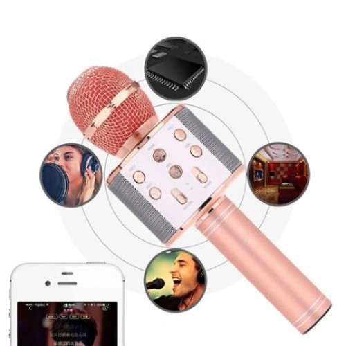 Microfon wireless karaoke bluetooth ws-858 card sd gold rose