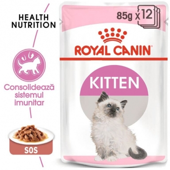 Royal canin kitten, plic hrană umedă pisici, (în sos), 85g