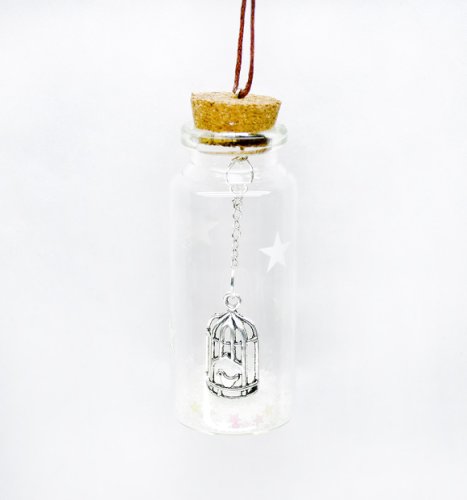 Decoratiune craciun - glass bottle, colivie pasare | everbright gifts