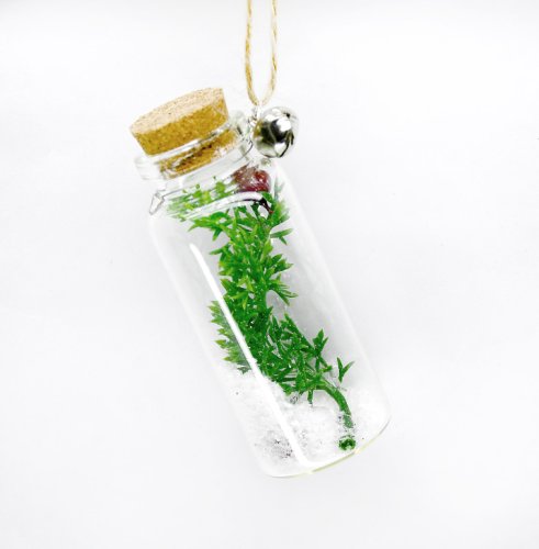 Decoratiune craciun - glass bottle, crenguta verde | everbright gifts