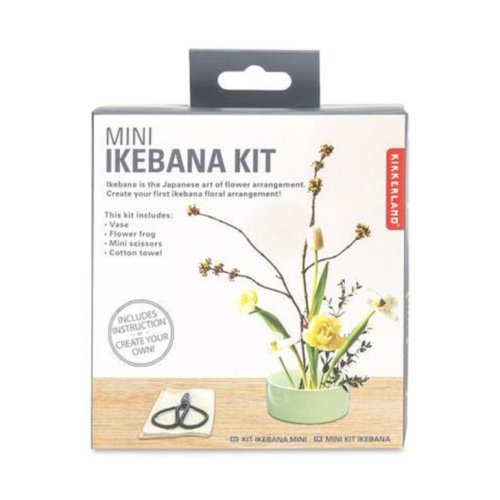 Kit - mini ikebana | kikkerland