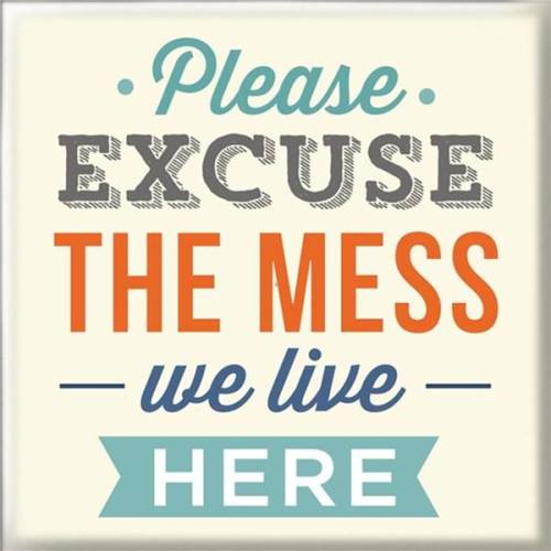 Magnet - please excuse the mess we live here | generic