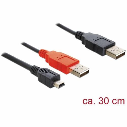 Delock delock cable 2 x usb 2.0-a male > usb mini 5-pin, 0.3m
