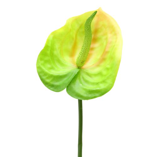 Floare anthurium verde 76 cm