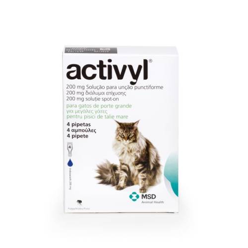 Msd Activyl cat (> 4kg), 4 pipete