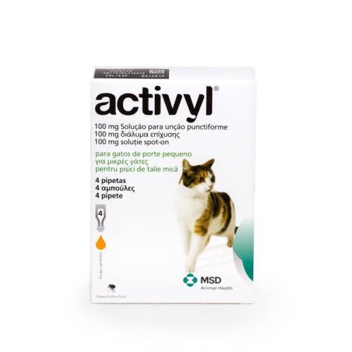 Msd Activyl cat (< 4kg), 4 pipete