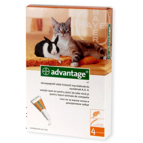 Bayer Advantage 40 pisica / iepure, 4 pipete