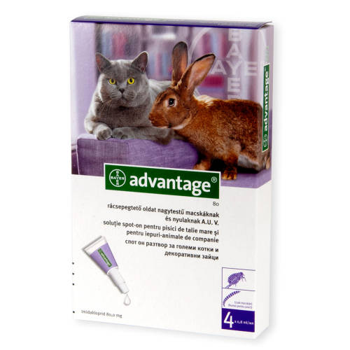 Bayer Advantage 80 pisica / iepure, 4 pipete