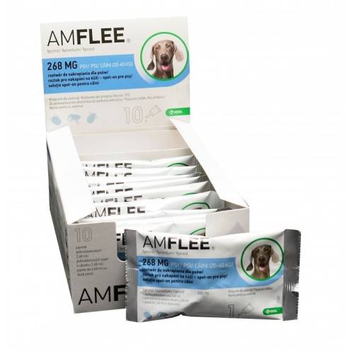 Amflee dog 268 mg spot-on, l (20-40 kg), 10 pipete