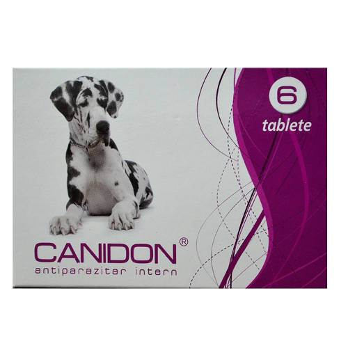 Golash Pharma Canidon 6 tablete / cutie