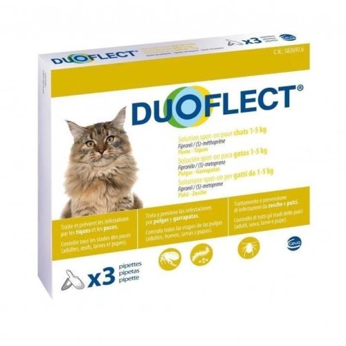 Duoflect cat, 0.5-5 kg