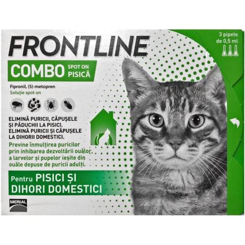 Frontline combo pisica, 1 pipeta 