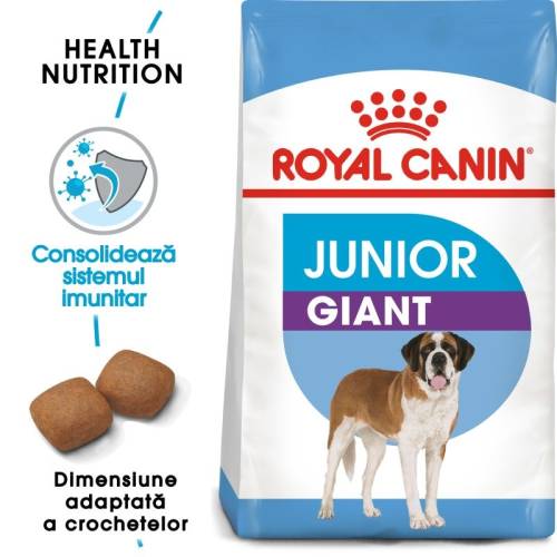 Royal canin giant junior