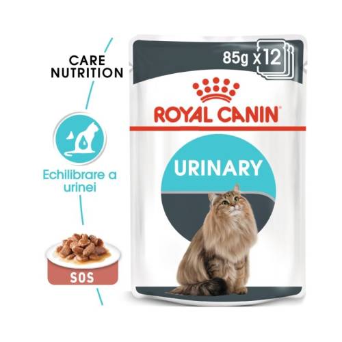 Royal canin urinary care in gravy, 12 plicuri x 85 g