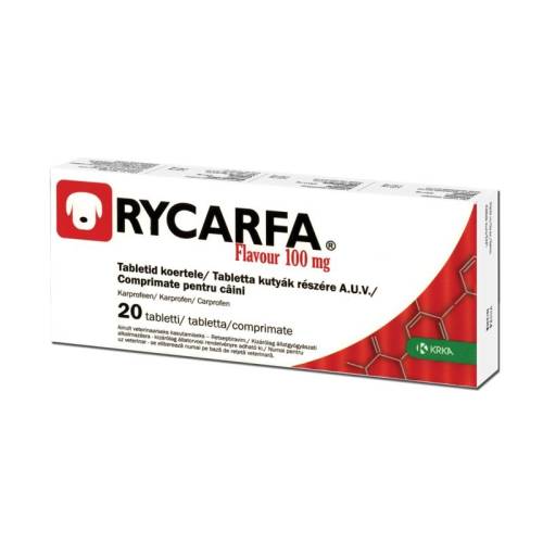 Krka Rycarfa flavour 100 mg, 20 tablete