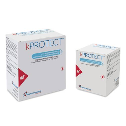 Pharmacross Suplimente pentru rinichi, kprotect, 120 tbl