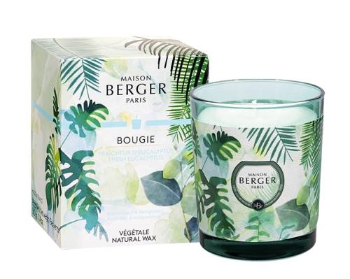 Maison Berger Lumanare parfumata berger immersion fraicheur d\'eucalyptus 240g