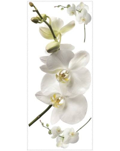 Sticker decorativ white orchid | 36,8 x 84,5 cm