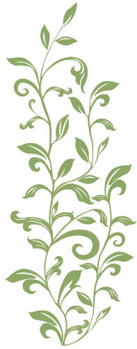 Stickere decorative leaf scroll | 1 colita de 45,7 cm x 101,6 cm