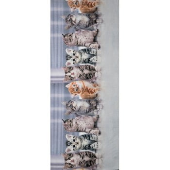 Covor foarte rezistent webtappeti gatti, 58 x 280 cm