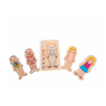 Jucărie din lemn legler anatomy girl