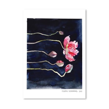 Poster americanflat blooms on black iii, 30 x 42 cm