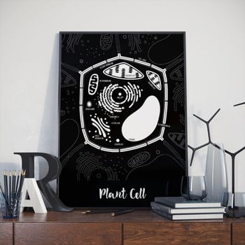 Poster follygraph plant cell black, 30 x 40 cm