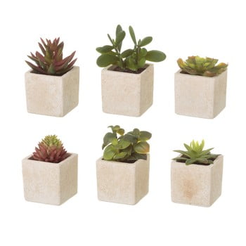 Set 6 flori artificiale unimasa cactus
