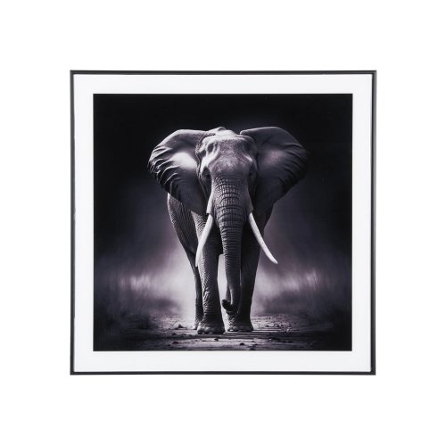 Tablou 50x50 cm elephant – pt living