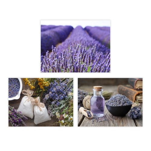 Tablouri 3 buc. 30x40 cm lavender – casa selección