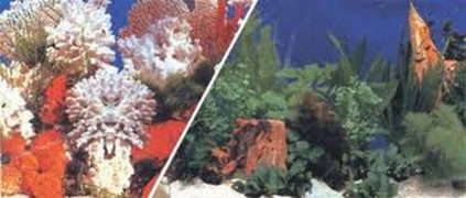 Fundal acvariu resun coral nature 15 m