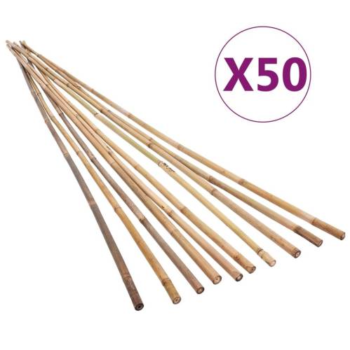 Bețe de bambus de grădină, 50 buc., 170 cm