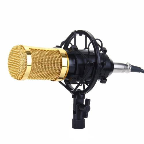 Microfon profesional bm800 techstar®, inregistrare vocala si karaoke, negru