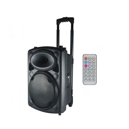 Boxa portabila sal pab25a, 80w bluetooth, radio fm, karaoke (negru)