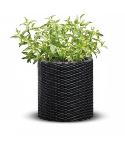 Ghiveci l cylinder planter