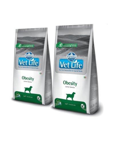 Farmina vet life dog obesity 2x12 kg dieta pentru caini cu diabet