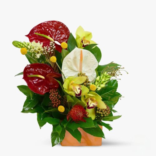 Floria Aranjament floral - craciun fericit! - standard