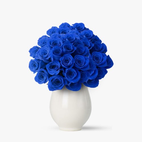 Buchet de 55 trandafiri albastri - standard