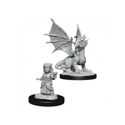 Miniaturi nepictate d&d nolzur's marvelous silver dragon wyrmling & female (w13)