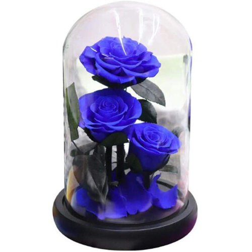 3 trandafiri criogenati Ø=6,5 cm in cupola de sticla 15x25 cm, culori la alegere