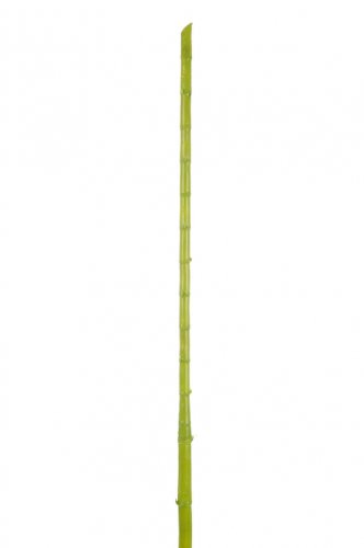 Bambus artificial, plastic, verde, 185x15x10 cm