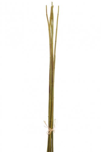 Jolipa Bambus, plastic, verde, 4x3.5x110 cm