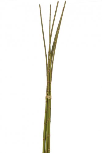 Bambus, plastic, verde, 5.5x6x110 cm