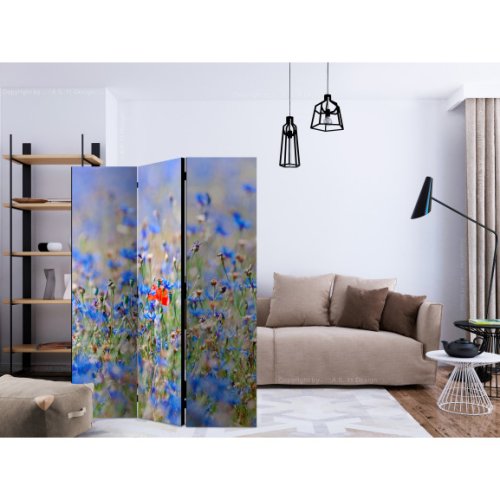 Paravan a sky-colored meadow cornflowers [room dividers] 135 cm x 172 cm