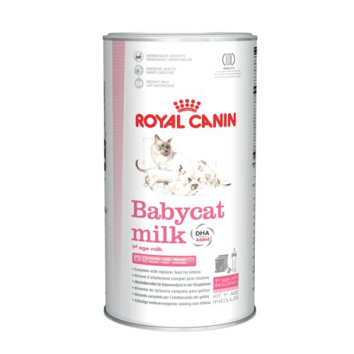 Lapte praf pt pisici royal canin babycat 300 gr
