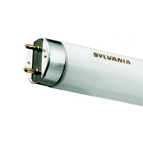 Sylvania Tub fluorescent 36w, g13, 3350 lumeni, lumina calda