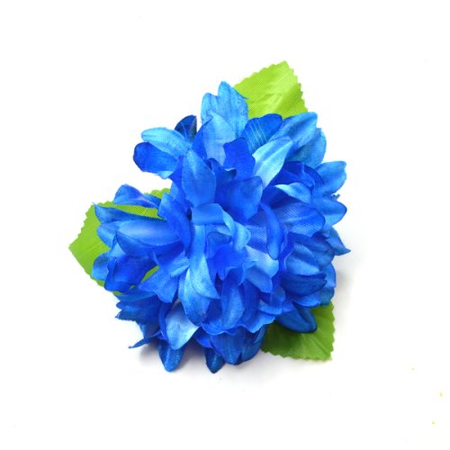 Set 45 crizanteme cu frunza albastre